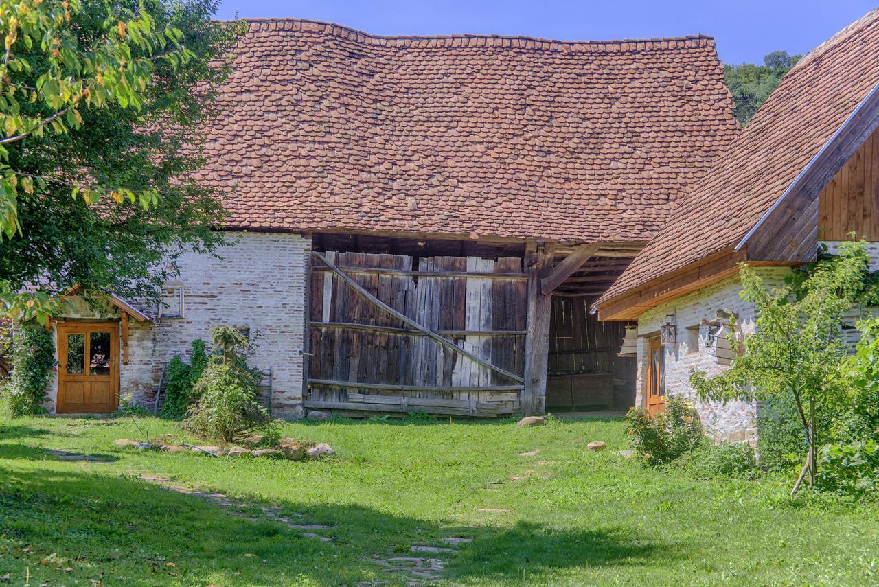 Dominic Boutique - Atelier Guest House Cloasterf Eksteriør bilde